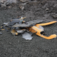 Image for article titled Why Volvo Thinks It Can Eliminate All Deaths In Its Cars By 2020